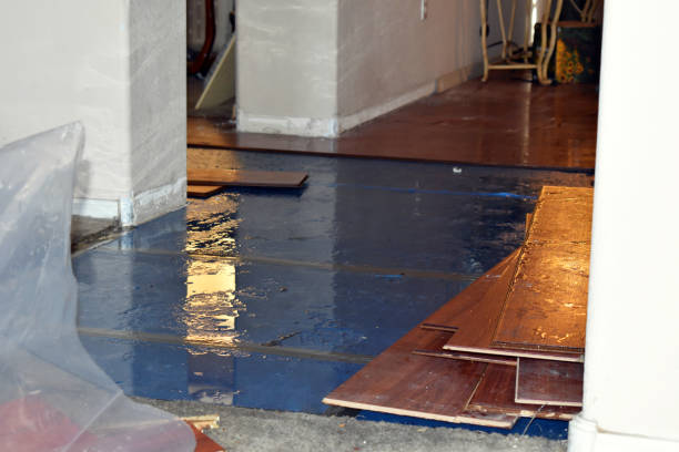 Professional Water Damage Restoration technician working in Milledgeville, IL